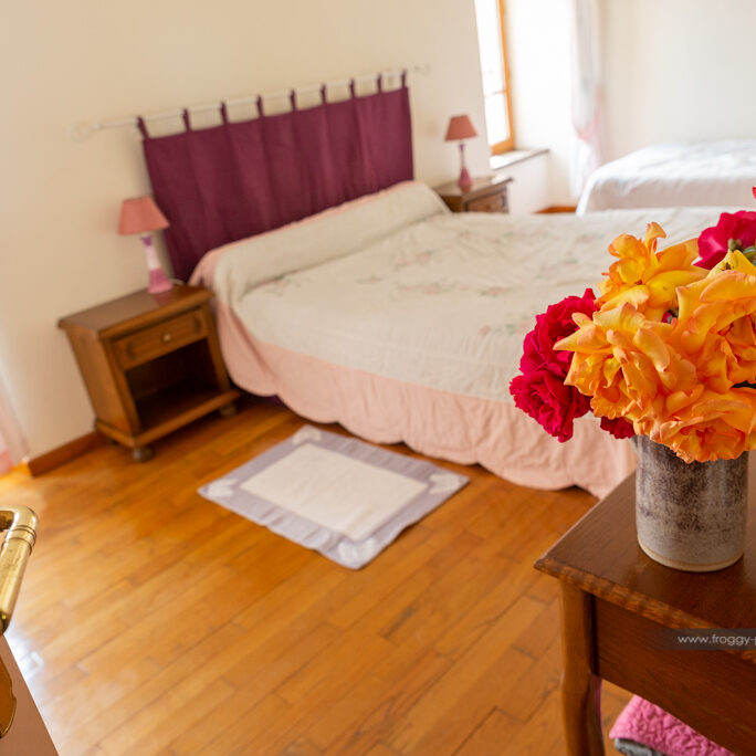 poulallier-cevennes-immobilier-6227-1024-froggys-photo